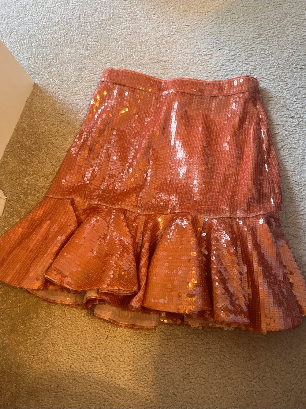 J crew women’s sparkle skirt